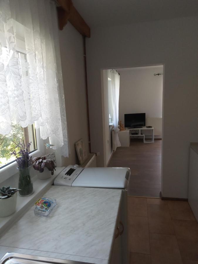 Apartment With A View Bohinjska Bistrica ภายนอก รูปภาพ